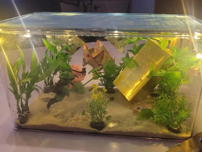 Aquarium mit Geldfischen als kreatives Geldgeschenk zum Geburtstag