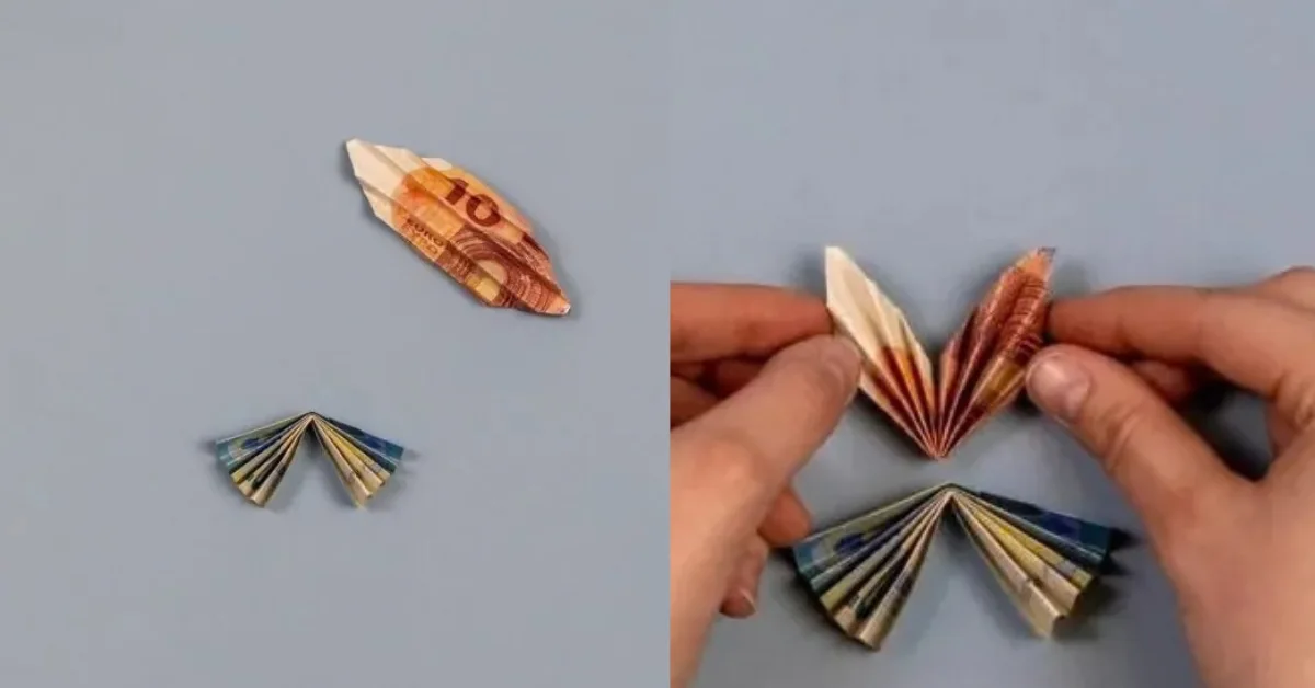 Geld falten schmetterling