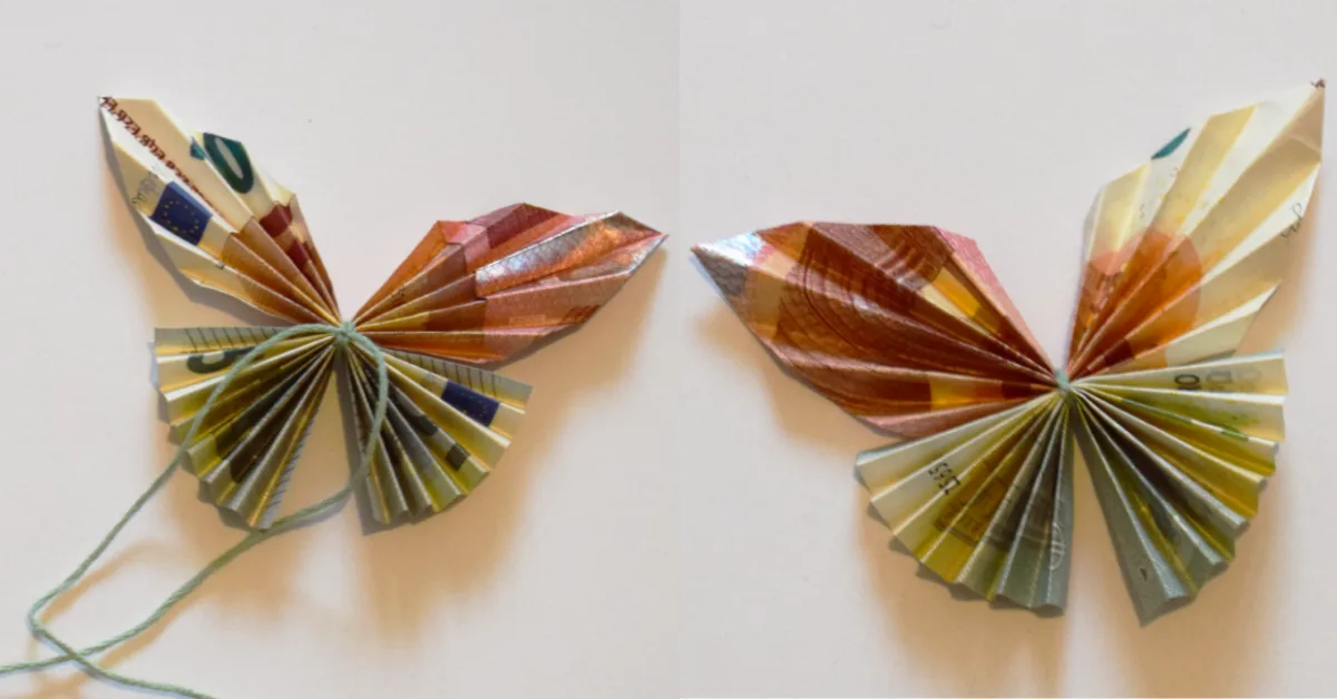 Geld falten schmetterling