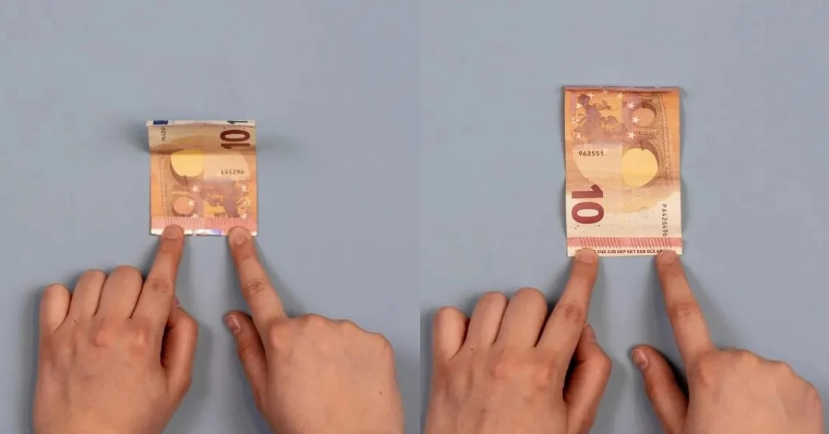 Geld falten schmetterling